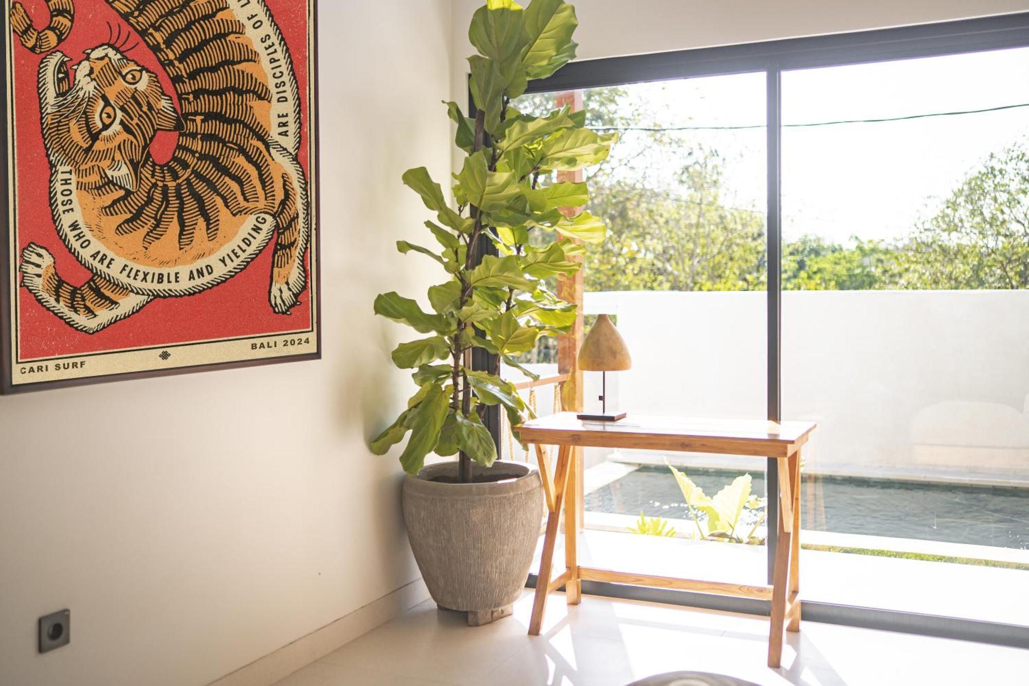 Cari Surf Camp & Studio'S Uluwatu Стая снимка